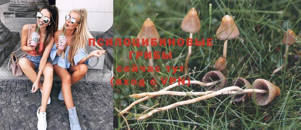 кокаин колумбия Новозыбков