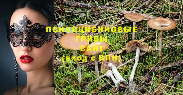 кокаин колумбия Новозыбков