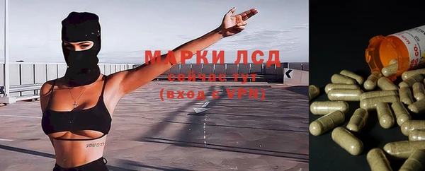 эйфоретик Нефтекумск