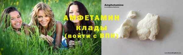 дживик Няндома