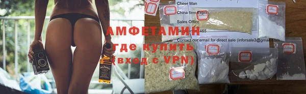 дживик Няндома