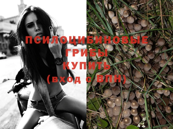 a pvp Нязепетровск