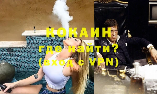 индика Новокубанск