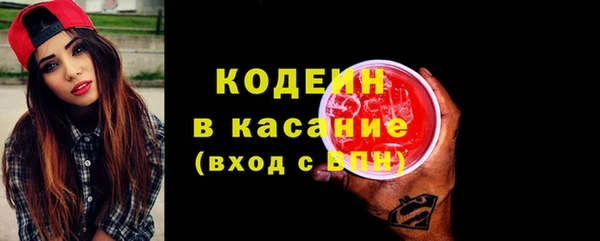 дживик Няндома