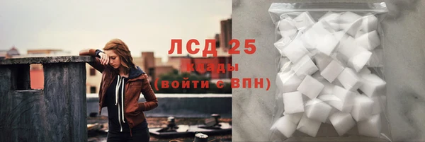 дживик Няндома