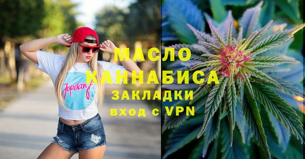 индика Новокубанск