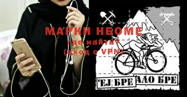 индика Новокубанск