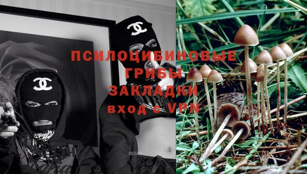 кокаин колумбия Новозыбков