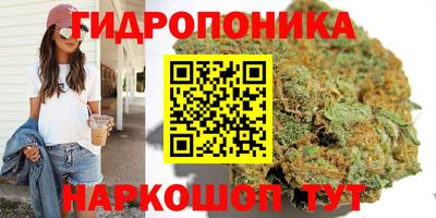 сатива Берёзовский