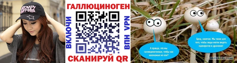 OMG зеркало  Ивантеевка  Псилоцибиновые грибы Cubensis 