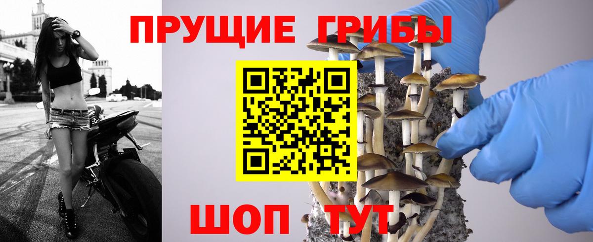 Галлюциногенные грибы мицелий  как найти закладки  Ивантеевка  Галлюциногенные грибы MAGIC MUSHROOMS 