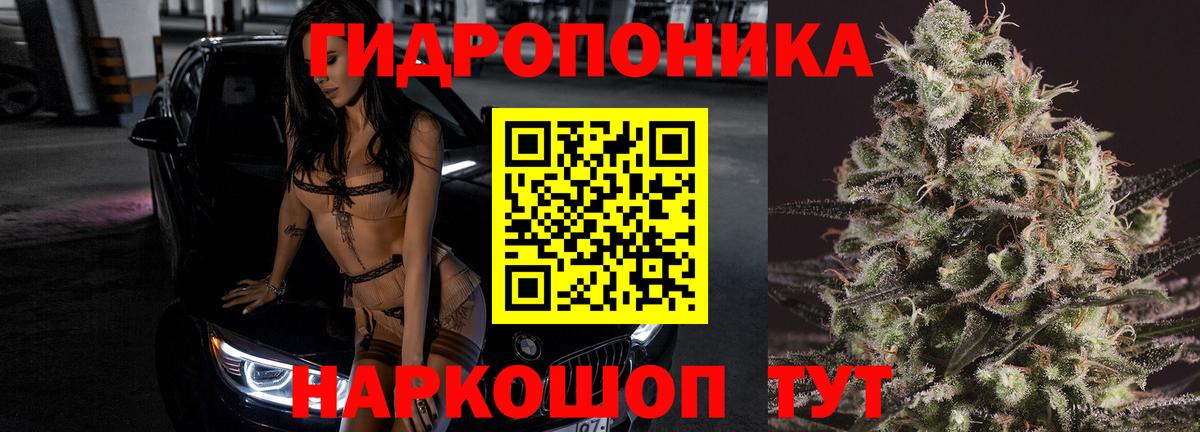 Канабис гибрид Ивантеевка