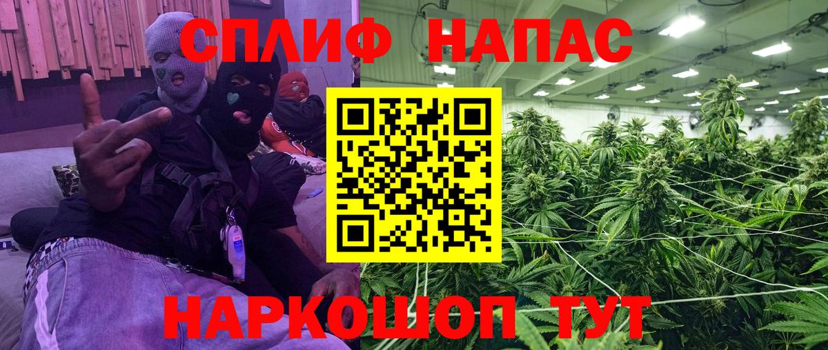 Бошки Шишки план  Ивантеевка  Марихуана THC 21% 